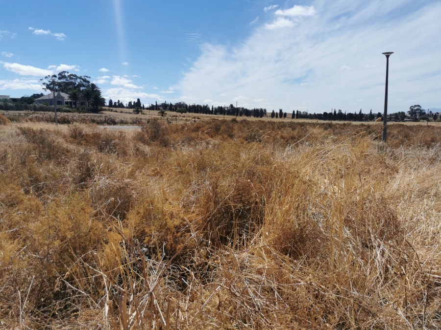  Bedroom Property for Sale in Moorreesburg Western Cape